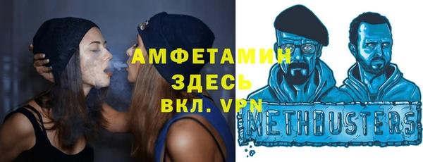 молекула духа Бородино