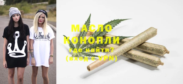 молекула духа Бородино