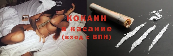 молекула духа Бородино