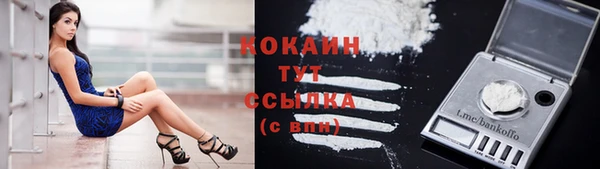 молекула духа Бородино