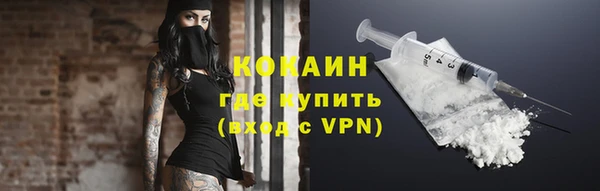 молекула духа Бородино
