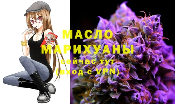молекула духа Бородино