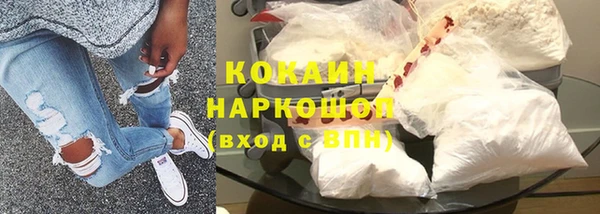 молекула духа Бородино