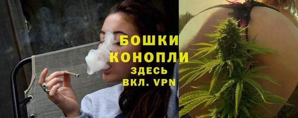 молекула духа Бородино